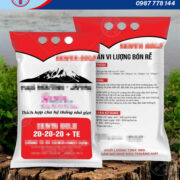 Túi xếp hong có bế lổ